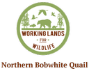 Northern Bobwhite logo