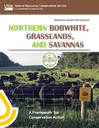 WLFW Northern Bobwhite, Grasslands and Savannas Framework for Conservation Action Image