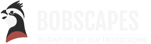 Bobscapes logo