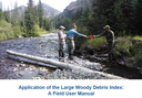 Large Woody Debris Index (LWDI) Manual