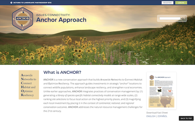 The Anchor Approach to Connectivity