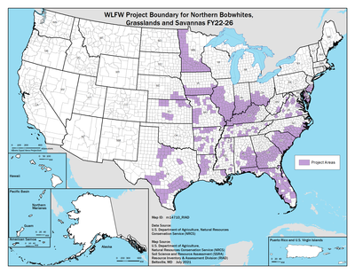 WLFW Northern bobwhite, Grasslands, and Savannas National Map