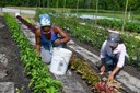 (L-R) Intern Maddie Baker and Purple Skies Farm Owner Visar Duane work together to pull weeds. (NRCS photo by Brooke DeCubellis)