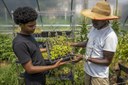 University of Maryland Extension Urban Farmer Field School holds an educational event at Plantation Park Heights Urban Farm (PPHUF) in Baltimore, Md., July 20, 2021. (USDA/FPAC Photo by Preston Keres)