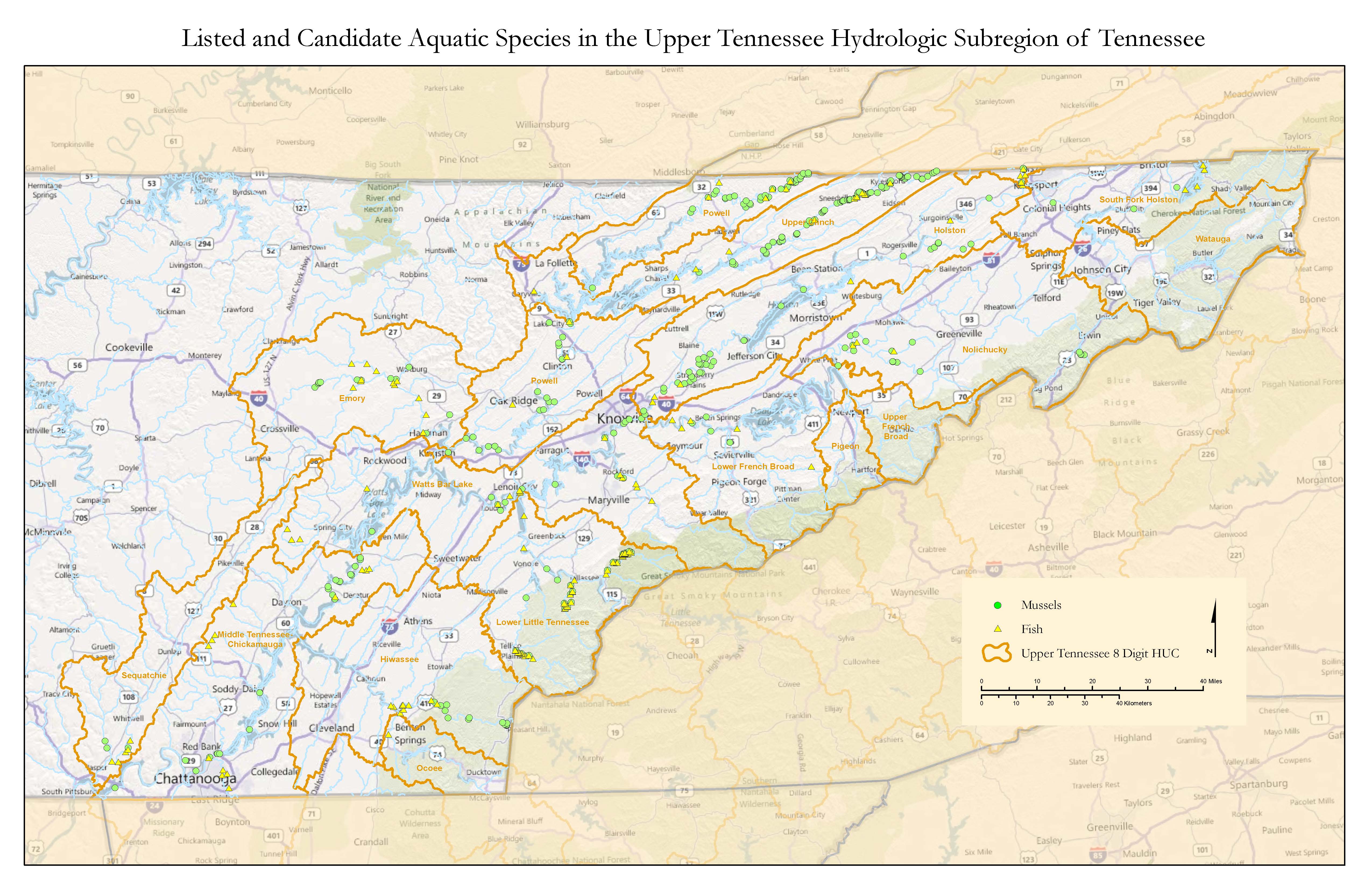 Map of Federally Listed Species within the UTRB in Tennessee