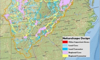 Appalachian Naturescape