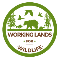 Working Lands for Wildlife WLFW logo