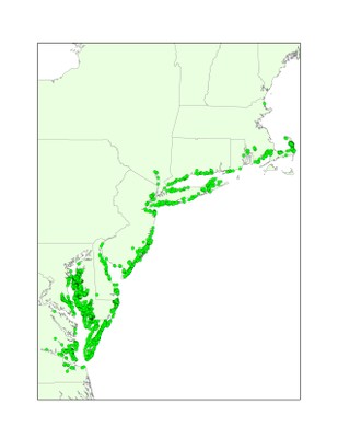 Northern Diamondback Terrapin Documented Occurrences, Northeastern U.S.