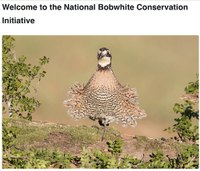 IN Workshop - Native grasses in Prescribed Grazing Systems