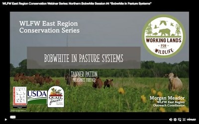 WLFW East Region Conservation Webinar Series: Northern Bobwhite Session #4 “Bobwhite in Pasture Systems” 