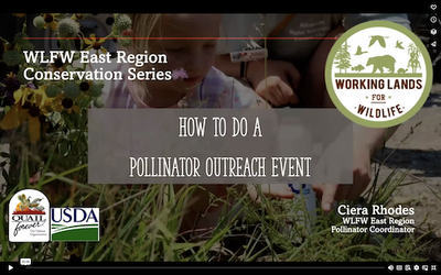 WLFW Pollinator Conservation Webinar Series: Session # 10 How to Do a Pollinator Outreach Event