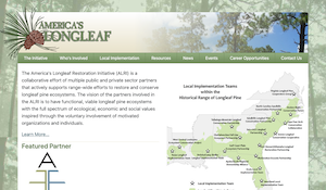 America's Longleaf Restoration Initiative