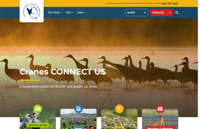 International Crane Foundation