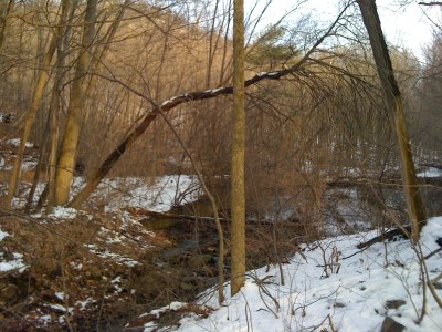 Dam Removals to Reconnect Brook Trout Habitat on an Unnamed Tributary to Frankstown Branch, PA