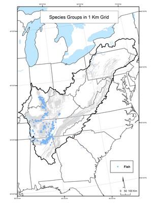 Fish Species Distribution by 1km Grid