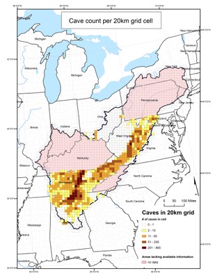 Cave Count per 20km Grid Cell