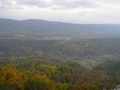 Species and Habitat Vulnerability Assessments of Appalachian Species and Habitats