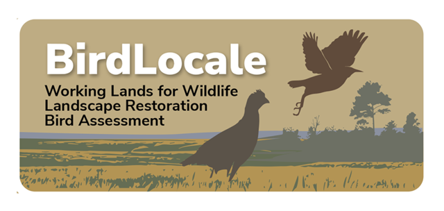 Birdlocale logo