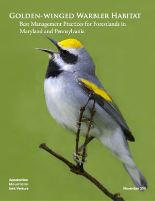 Golden-winged Warbler Habitat: Best Management Practices 