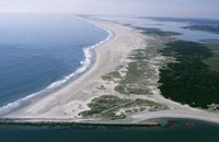 Sea-Level Rise Impacts on Piping Plovers at Assateague Island, Virginia and Maryland