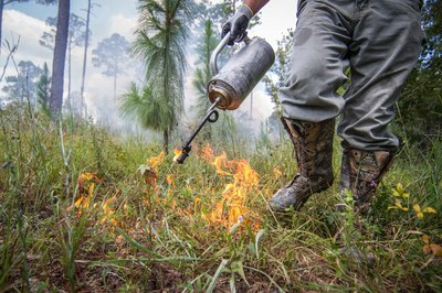 Outdoor Alabama Firefighter